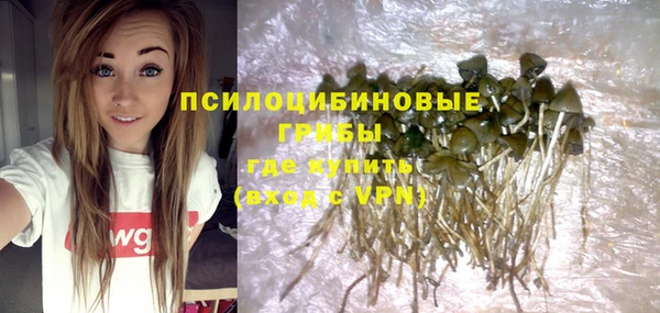 ALPHA PVP Дмитровск